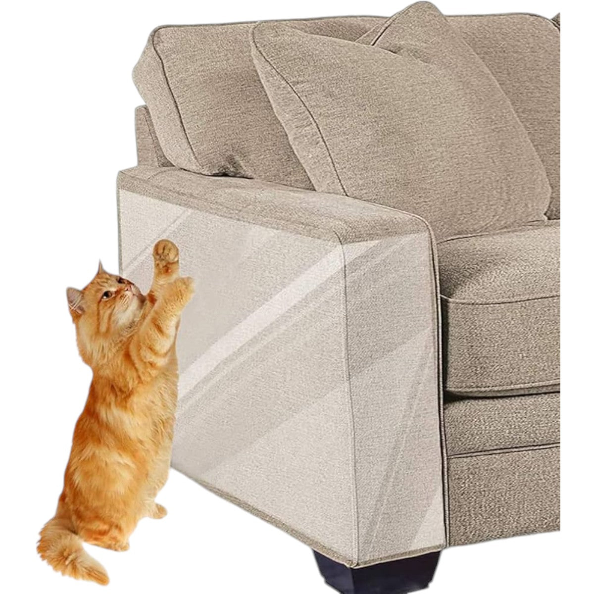 Pack 6 Pegatina Lamina Protectora Antiarañazos Sofa Sillon Gatos