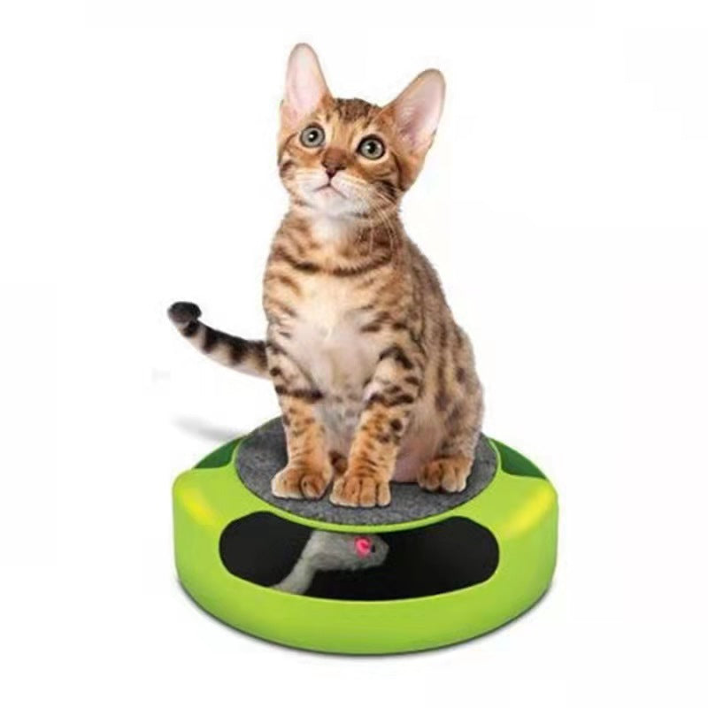 Juguete Gato | Mascotas Atrapa Ratón Interactivo