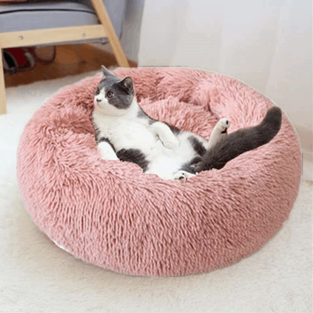 Cama Para Mascota Perros Y Gatos 60cm Tamaño M