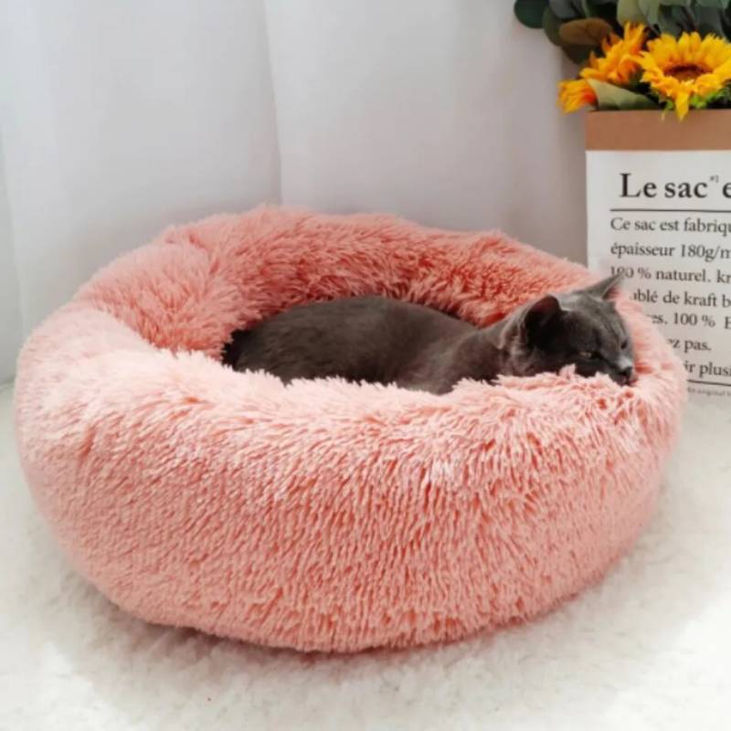 Cama Para Mascota Perros Y Gatos 60cm Tamaño M