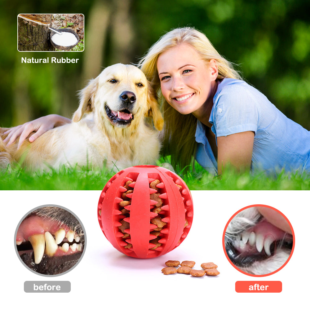 Pelota Dental Interactiva Limpieza Perros