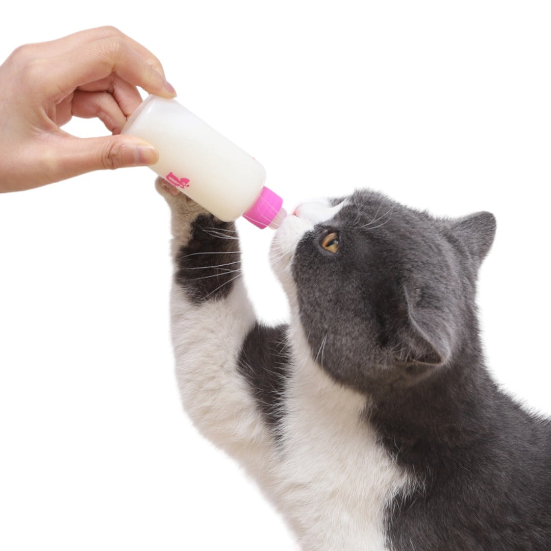 Mamadera Mascotas Leche Perro Y Gato 60ml